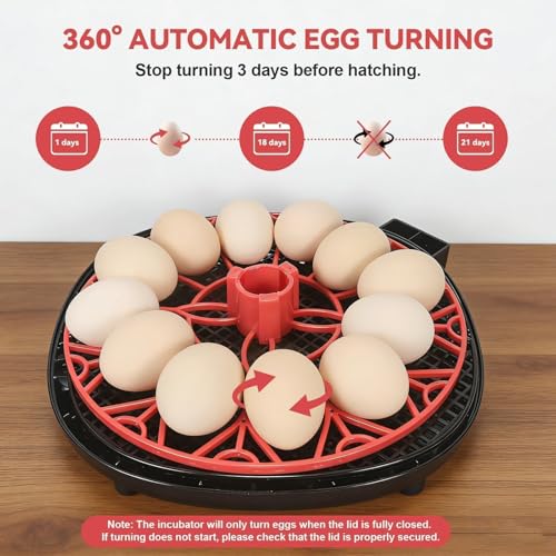 Gen II - 12 Egg Automatic Incubator, Two-Stage Humidity with Auto-Refill & Stable Temp Control, Auto Egg Turning, Candler, Real-Time Display for Hatching Chicken, Goose, Duck, Quail, Pigeon - size: 12 egg-black