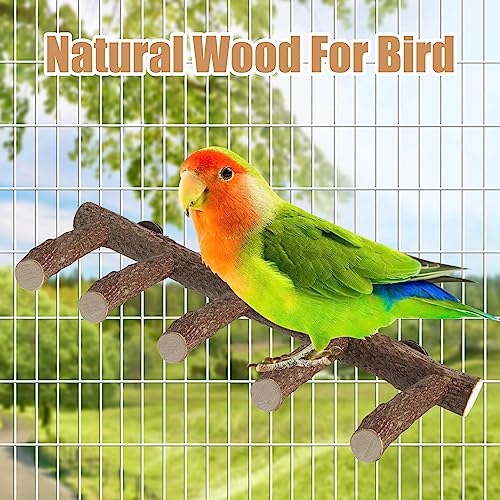 Parrot Wood Stand, Parrots Perch for Cage, Natural Bird Ladder | for Small Medium Parrot, Parakeets, Cockatiels, Conures, Hamster(12.2 inch)