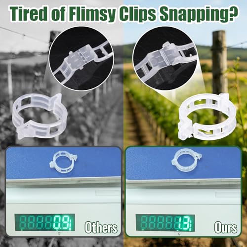 300Pcs Thickened Tomato Clips, Plant Support Clips Plastic Trellis Clips | Plant Clips for Grape Vine, Tomato Vine, Vegetable Plants, to Grow Upright Makes Plants Healthier, Green - color: Green