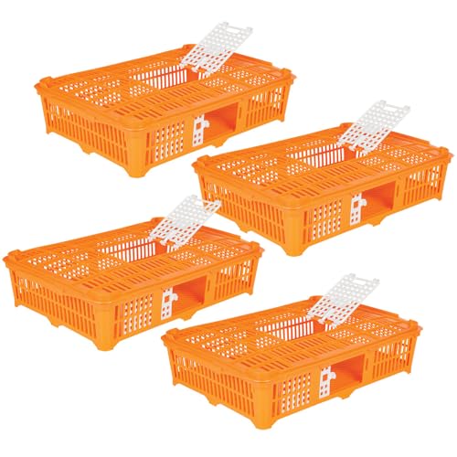 Premier 1 Quail Transport Crate - 26" L x 16" W x 5" H (4 Pack) | For field-trials & farm use. Up to 30 quail or newborn chicks. Top & side doors. Pre-assembled, stackable. Solid floor. - size: 4 Pack
