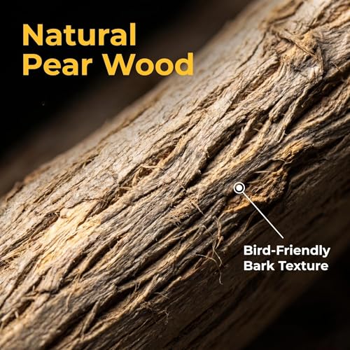 Bird Swing Perch with Chew Toys for Small Parrots, Cage Accessory | Natural Pear Wood 2PCS Bird Cage Set with Perch, Hanging Swing & Chew Toys for Conures, Cockatiels & Small Parrots