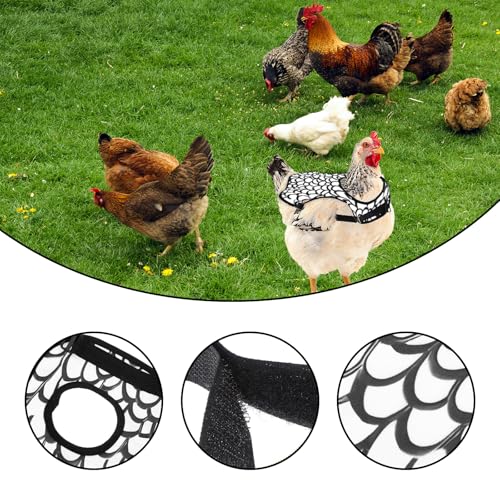 3pcs Chicken Saddle for Hens - Protective Hen Aprons for Poultry with Adjustable Straps, Durable and Comfortable Chicken Costumes for Backyard Birds