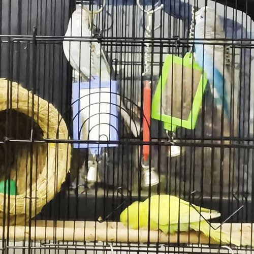1Pc Random Color Pet Bird Mirror with Bell Interactive Parrot Toys for Budgies Parakeets Conures for Cockatiel Parakeets Canaries Budgie Cage Accessories