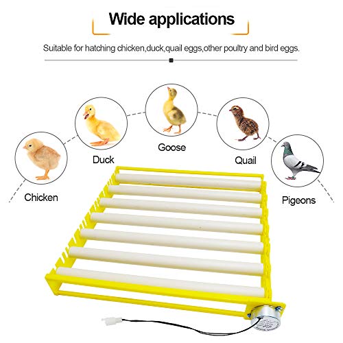 HBtree Automatic Multifunction Incubator Egg Tray Turning Hatcher for Chickens/Ducks/Birds/Poultry（7 Tubes） - color: 7 Tubes