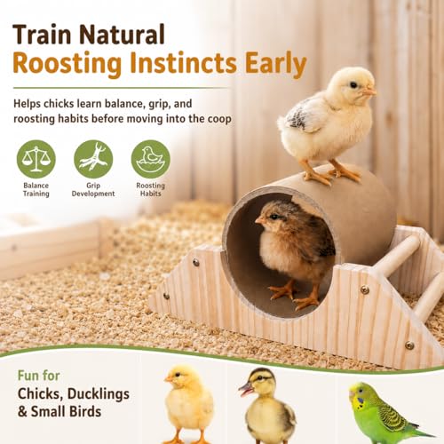 Baby Chick Perch & Tunnel Toy Set for Brooder, Chick Roosting Bar Training Toys, Chicken & Duckling Enrichment Playground, Anti-Boredom Coop Accessories for Baby Chicks Ducks Small Birds