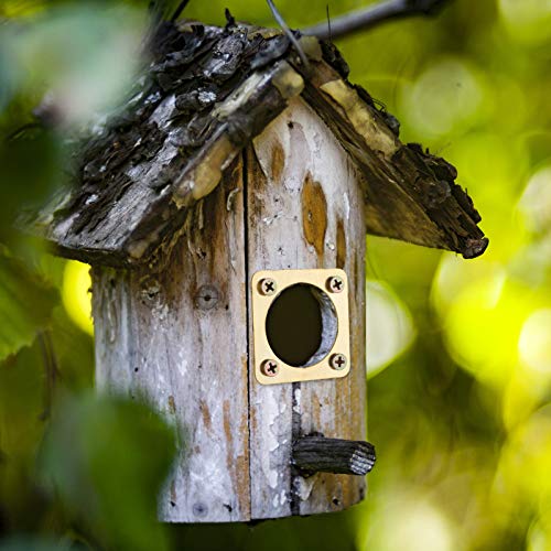 4 Pieces Metal Bird House Guard with Copper Portal Bird House Replacement for Eastern Bluebird Birdhouses(1 1/4 Inch Inner Diameter) - size: 1 1/4 Inch Inner Diameter