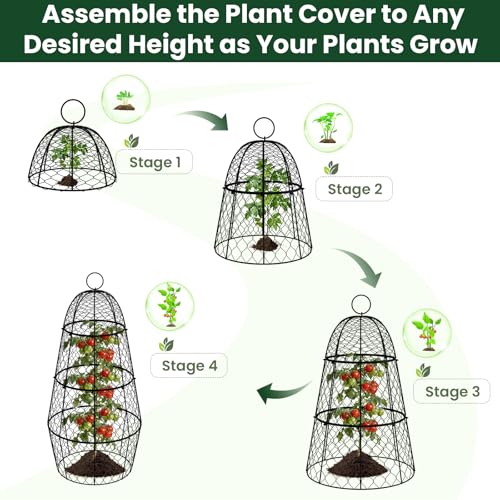 6 Pack Garden Cloche Plant Protectors from Animals, Adjustable 3-Tier Chicken Wire Plant Cages for Outdoor Plants, Stackable Metal Garden Cloches Keep Rabbits, Squirrels & Birds Away, 17.3" x 11.4" - size: 17.3" x 11.4"