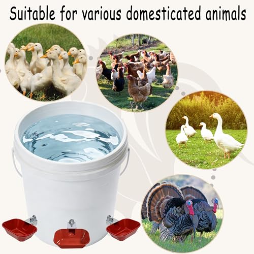 XCL Chicken Waterer Cups, Aluminum Alloy Chicken Waterer Feeder 2pcs Large, Tee Fittings Poultry Chicken Water, for Chicken, Duck, Goose, Turkey, Bunny, Bird, with Mounting Hole Opener (2, Red)