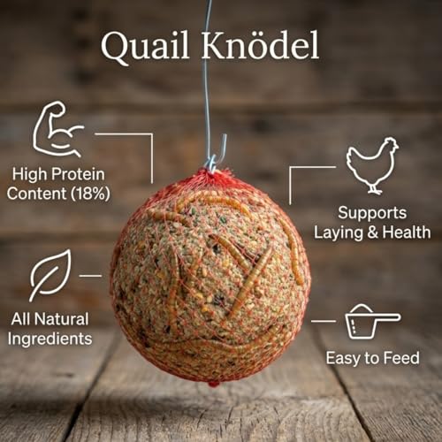 Undique Quail & Gamebird Feed Suet Ball, Enrichment Knödel with Mealworms, 2 Count, Natural Beak Wear & Pecking Behavior