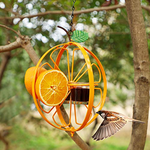 FORUP Oriole Bird Feeder for Outdoors Jelly and Oranges, Orange Fruit Oriole Jelly Bird Feeder, Outdoor Garden Metal Hanging Drinking Grape Jelly Container Hummingbird Feeder