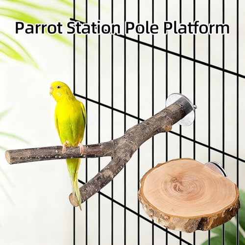 8 Pack Natural Wood Bird Perches,Parrot Perch Stand & Platform, Stand Bird Toys for Conures Budgies Finches Cockatiels Small Birds Exercise Training
