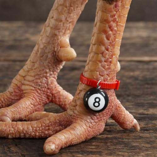 Colored & Numbered Chicken Leg Bands, 12 Billiard Ball Style, 1.6cm | Poultry Identification, Chicken & Goose Compatible, Colorful Rings