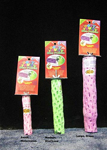 Polly's Tooty Fruity Pollen Bird Perch, Small (Assorted Flavor)… - size: Small