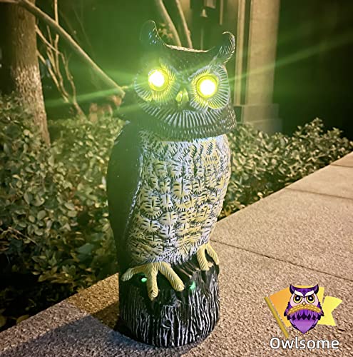 Solar Owl with Glowing Eyes, Rotating Head, Hoot Sound, Motion Detector and Silent Mode, Plastic Owl Garden Sculpture, Garden Decoration