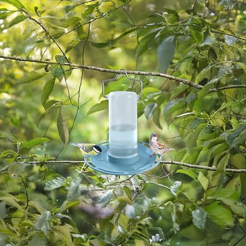 SWISSINNO Bird Drinker “Zug” Light Blue – UV Resistant Bird Water Dispenser Made of Durable PC and ASA Plastic – Outdoor Balcony Garden Terrace – Long Lasting and Easy to Clean