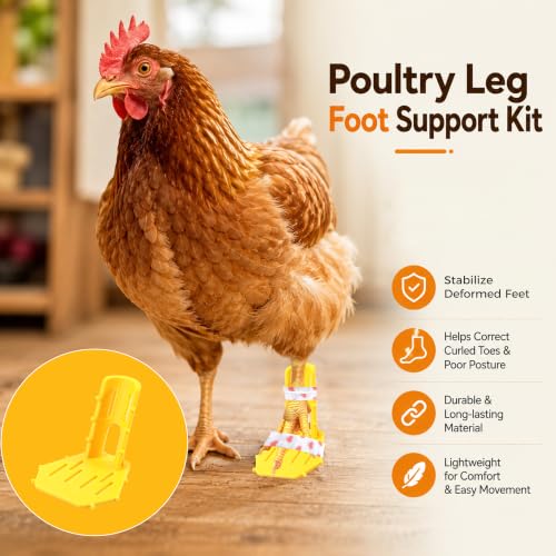 8PCS Poultry Leg Splint & Hobble Bands – Reusable Chick Leg Support Sleeves for Splayed/Curled Toes – Washable Farm Husbandry Leg Protection Ties for Chicken Duck Goose (4-Size Set)