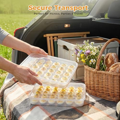 HANSGO Deviled Egg Containers with Lid, Set of 2, Plastic Clear Deviled Egg Tray Holder Carrier for 60 Eggs, Suitable for Refrigerator, Home, Party, Kitchen Supplies, Stackable & Portable - color: 60 Egg Box