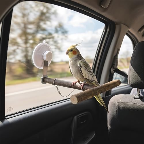 Natural Wood T-Shaped Bird Perch with Suction Cup for Window | Portable T-shaped parakeet window stand & bird shower perch for cockatiel, lovebird or budgie. Fits glass, mirrors & tiles