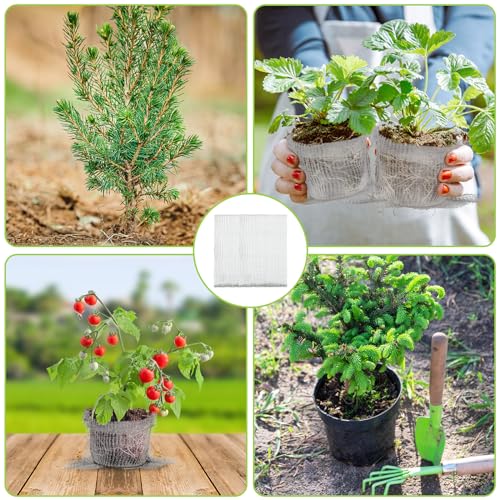 8 Pcs Gopher Baskets 10 Gallon Root Guard Proof Stainless Wire Steel Trap | 18" X 20" Mesh Cage with Gloves Root Protection for Gophers Moles Voles, Bulbs Tubers Trees Orchid Flowers Planting Baskets - size: 20"X18"-8 Pack