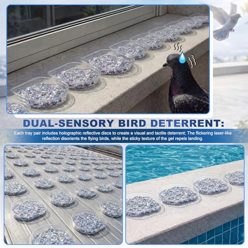 Qinyoung 100 Pack Bird Repellent Gel Trays (Gel Not Included) Clear PET Plastic Dishes with Holographic Reflectors for Outdoor Bird Deterrent, No Mess Application for Roof, Ledges, Beams, Signs