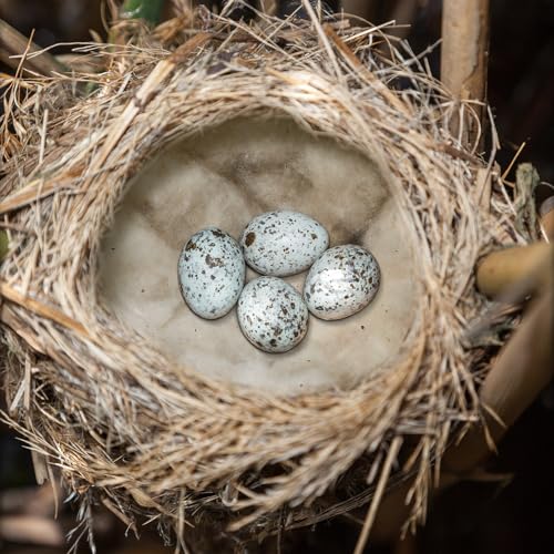 Nuanchu 3 Pcs Bird Nest Material Bird Nest Refill Material Hummingbird Nest House Gift Design Bird Nest Material for Bird Lovers, Winter Bird Bedding Gifts in Outdoor Indoor Patio (Nest Not Included)