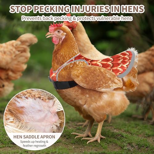 3-Pack Chicken Saddle for Hens, Back Protector Aprons | Adjustable strap design shields hen plumage during mating & flock activity, backyard poultry farm daily accessory