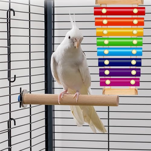 Colorful Bird Xylophone Toy Interactive Training Toy Bird Cage Bell Toy Accessories Music Musical Enrichment Bells for Conure Budgie Cockatiel African Grey Parakeet Finch Parrot Love Birds - color: birdxylophone with bell
