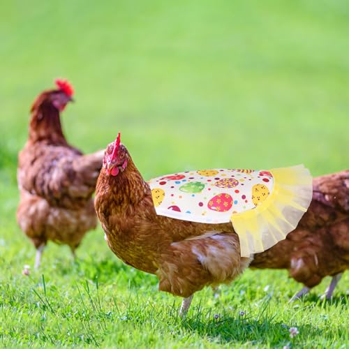 NQEUEPN 5pcs Chicken Saddle for Hens, 5 Styles Waterproof Colorful Chicken Saddle with Lace Trim Funny Poultry Back Feather Protection Supplies for Small Medium Hens