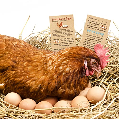 Kisston 200 Pcs Egg Handling Instruction Cards Bulk Fresh Farm Egg Care Labels 2 x 3.5'' Resuable Eggs Carton Stamp Thick Paper Design for Basket Farmstand Market Business Supplies (Simple Style) - style: Simple Style