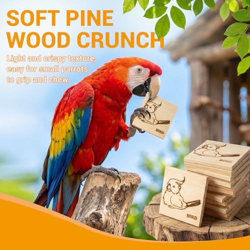 16 Pack Natural Balsa Wood Bird Chew Toys - World's Softest Wood, Safe Chewing Toys for Parakeets, Cockatiels, Lovebirds & Small Medium Birds. (Medium)