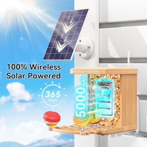 Solar Powered Bird Feeder with Camera, Hummingbird Feeders for Outdoors | 4K QHD Live Video Hummingbird feeder AI Bird Recognition, Auto Recording Squirrel Proof Bird Feeders for Bird Lovers Gift