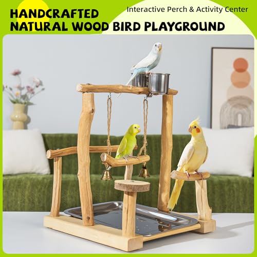 Natural Solid Wood Parrot Perch with Tray, Budgerigar Stand for Play, Rough Texture Bird Playground, High Hardness Nature Perch