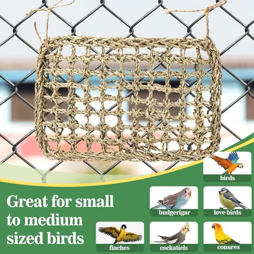 MAQIHAN Seagrass Mat for Birds - Bird Toys Seagrass 11.8x7.8 Inches | Bird Climbing Wall Seagrass Net Hammock Toy for Medium Parakeets Lovebirds Finch Budgerigars Conure Cockatiel with 2pcs twine