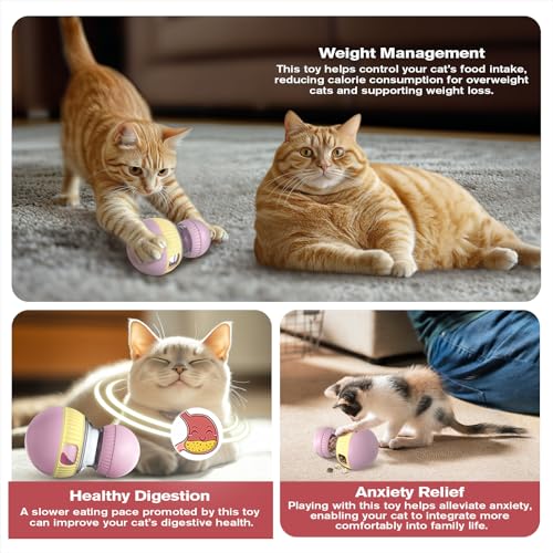 TLKNG Cat Treat Dispensing Toy Kitten Puzzle Feeder & Food Dispenser Ball - Kitty Enrichment Toys for Indoor Cats Kitty Stimulating Tous