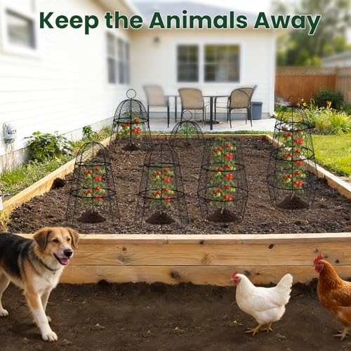 6 Pack Garden Cloche Plant Protectors from Animals, Adjustable 3-Tier Chicken Wire Plant Cages for Outdoor Plants, Stackable Metal Garden Cloches Keep Rabbits, Squirrels & Birds Away, 17.3" x 11.4" - size: 17.3" x 11.4"