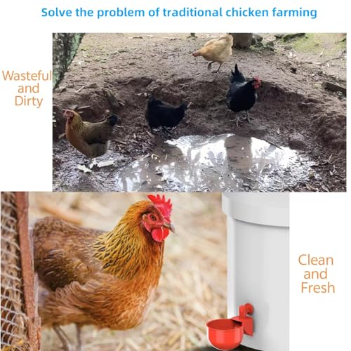 Professional Chicken Waterer Cups, 8pcs Large Chicken Water Feeder, Automatic Chicken Water Dispenser, Poultry Drinker Set, Solution for Various Poultry Watering with Matching Drill