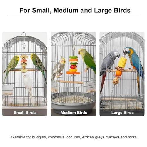 3P Stainless Steel Bird Cage Food Holder & Foraging Toy for Parakeets, Budgies, Macaws - Fruit & Vegetable Skewer Feeder