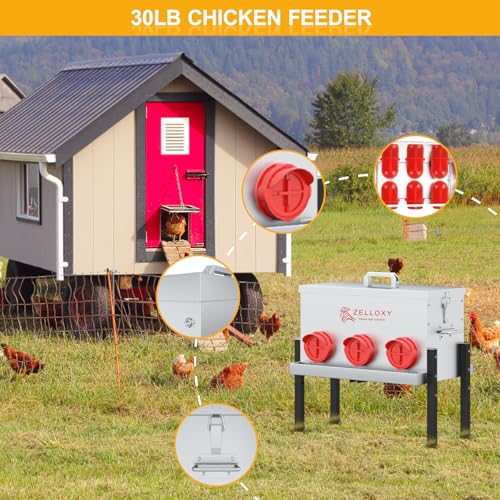 No-Waste Automatic Chicken Feeder, 30 lb Galvanized Metal Poultry Feeders with Adjustable Height, Locking Lid, Feeding Through, Feeder Box Stands for Chicks, Duck, (6 Ports)