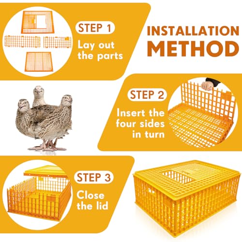 Sintuff Poultry Carrier Crate Plastic Chicken Transport Cage Bird Carriers Chickens Carrier Travel Crate Basket Box for Poultry Chicken Bird Duck Goose, 29.5 x 21.7 x 11.6 Inch (2 Pcs)