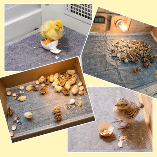 10 Pack Chick Brooder Liners Chick Bedding Bamboo Charcoal Hatchling Liners Keep Waterproof Dry for Baby Chicks, Ducklings, and More