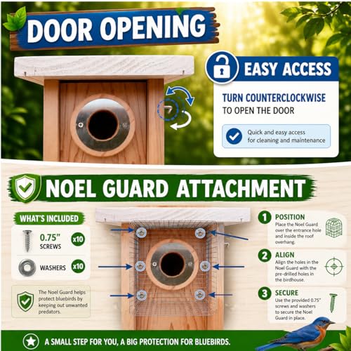 Premium Cedar Bluebird House for Outside - Wooden Bird Box with White Painted Roof & Noel Guard Predator Protection - Durable Birdhouses for Outdoors & Blue Bird Nesting