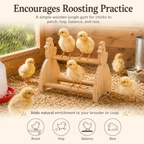2 Pack Chick Perch Stand, Pine Wooden Roosting Perch for Brooder Coop, Chick-Shaped Chicken Jungle Gym Toy with 3 Perching Bars, Bird Perch for Baby Chicks & Small Birds