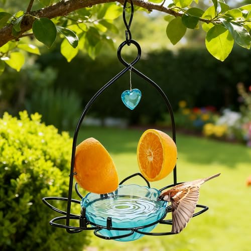 FORUP Oriole Bird Feeder, Orange Fruit Oriole Feeder (Blue) - color: Blue
