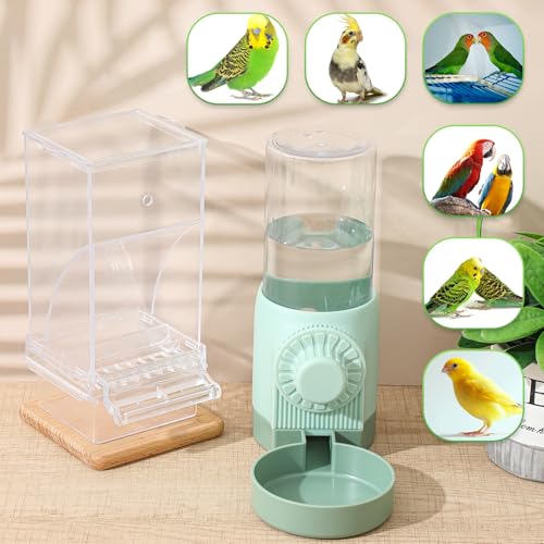 Jingmore 4 Pcs No Mess Small Bird Feeder Parakeet Water Dispenser Set Automatic Clear Parakeet Feeder Acrylic Watered Cage Accessories for Canary Budgie Lovebirds Finches(Green) - color: Green