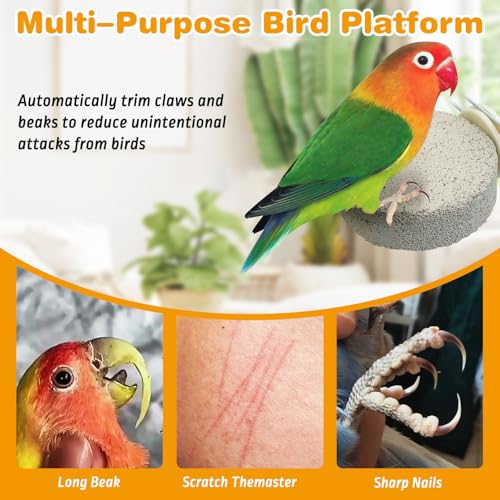 PINVNBY 6 PCS Bird Perch Parrot Beak Grinding Stone Calcium Mineral Parrot Perch Foot Claws Trimmer Chewing Toy Bird Cage Accessories for Small Medium Budgie Cockatiel Conure Lovebird (Lune)