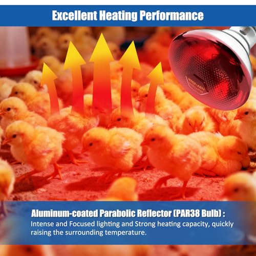 250W Heat Lamp Bulbs 1 Pack Infrared Heat Lamp for Chickens with E26 Socket and 5000 Hours Lifespan Heat Light Bulb for Pets Chicks Reptile Food Service Brooder Coop(2 Pack) - size: 2 Pack