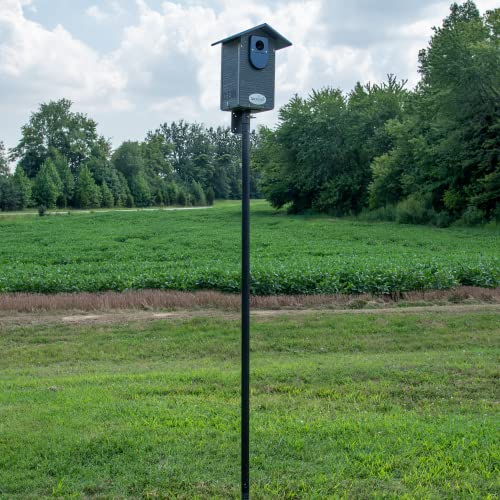 Ultimate Eastern and Western Bluebird House with Universal Mounting Pole Kit - Garden Birdhouse and Pole Combo (Blue and Gray)