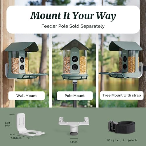 Smart Bird Feeder with 4K AI Camera Solar Powered | Hummingbird Feeder Kit Included, AI Identification Bird Specie, 4K Live Stream, Real-Time Bird Visit Alert, Birdwatching Gift