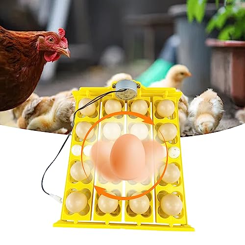 Automatic Egg Turning Tray for Incubator Multifunction Egg Hatcher Tray for 16 Duck Eggs 72 Quail Eggs, for Egg Incubation and Hatching (AC110V) - size: AC110V, style: AC110V