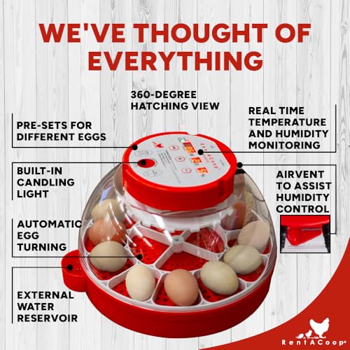 RENTACOOP Egg Incubator for 16 Eggs